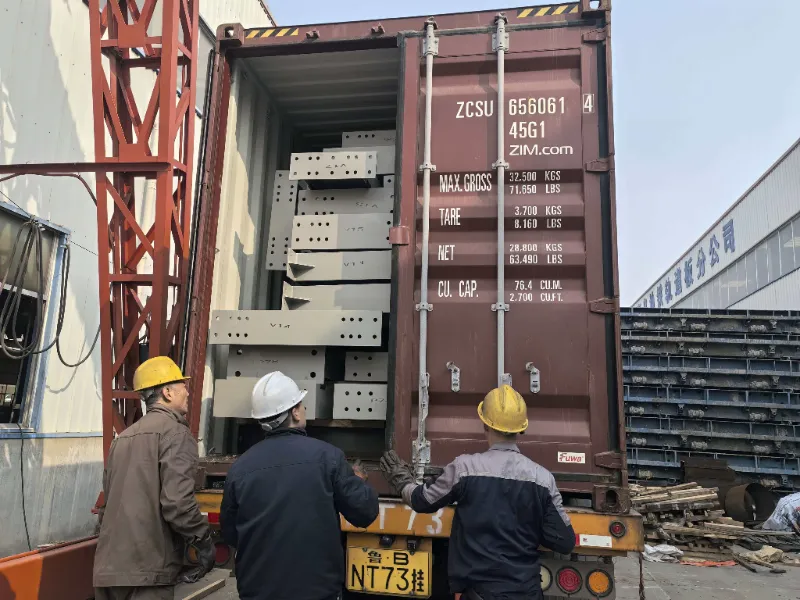 تم بنجاح شحن مكونات الهيكل الفولاذي لمشروع مستودع فولاذي واسع النطاق في تشيلي، مما يدعم بناء مركز لوجستي محلي